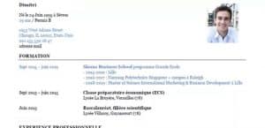 CV SKEMA projectif
