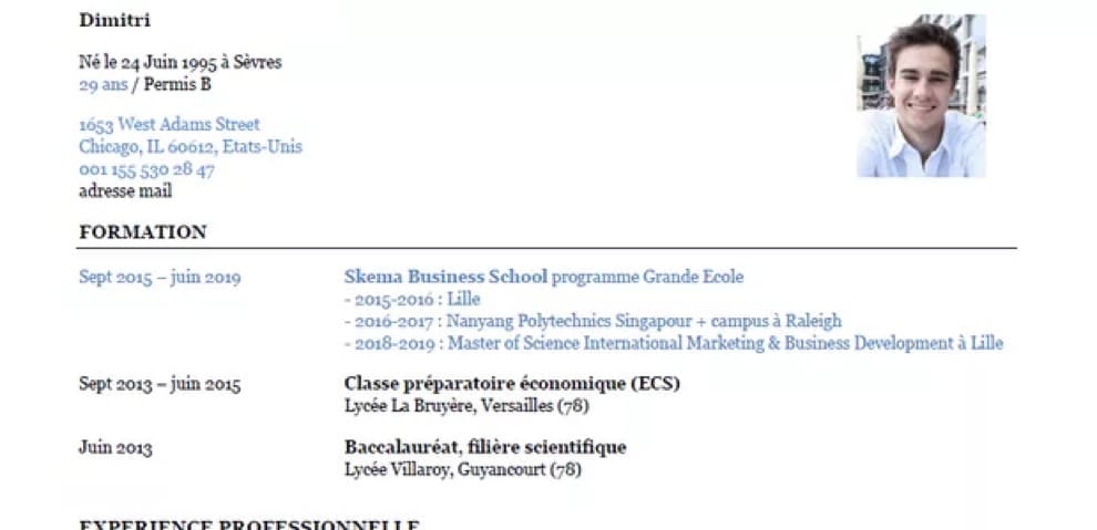 CV SKEMA projectif