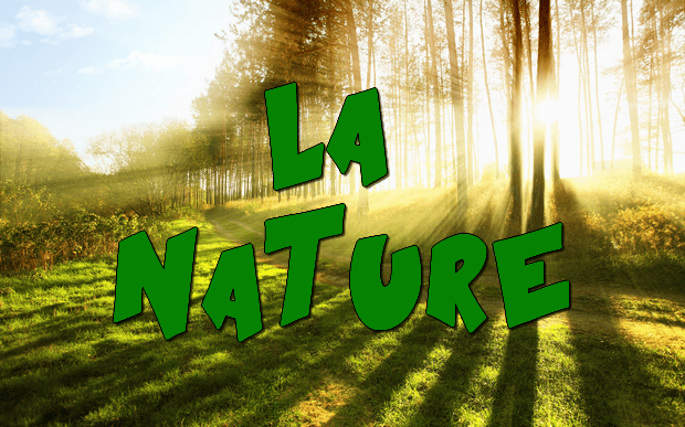 Qui a écrit : « Nous rendre comme maîtres et possesseurs de la nature » ?