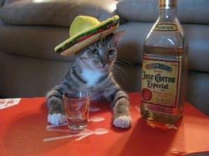 L'effet tequila