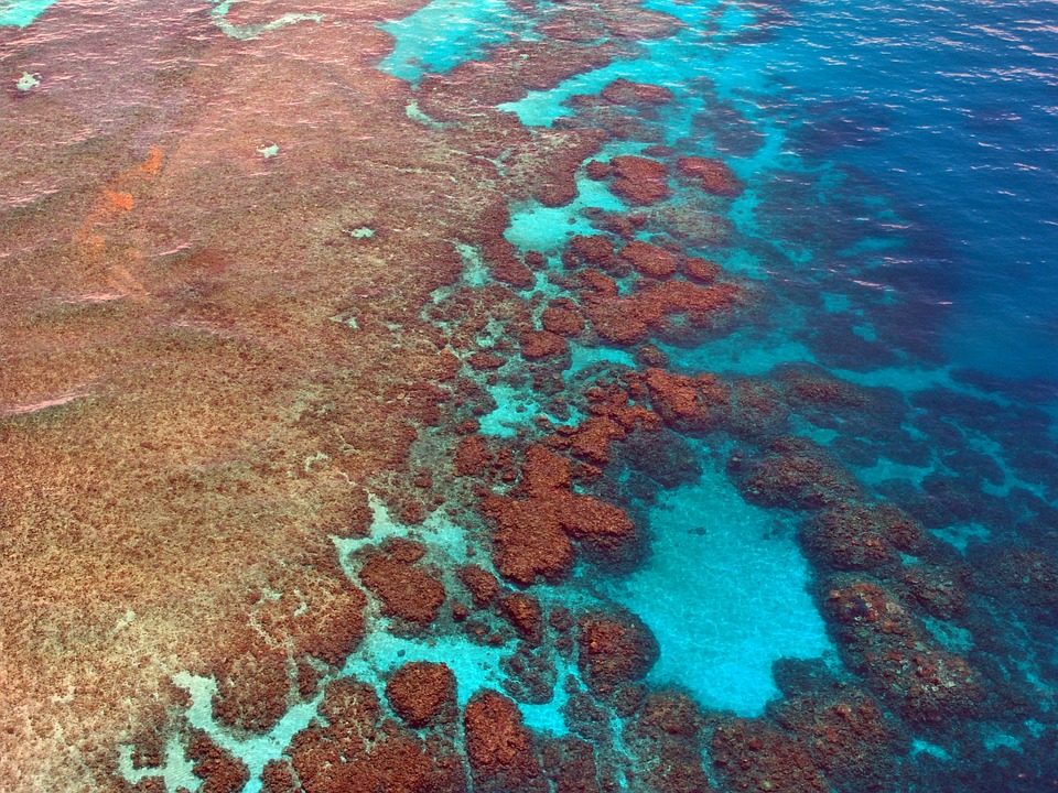 A cause du réchauffement climatique, quel est le pourcentage de corail perdu pour la partie nord de la Grande Barrière de corail ?