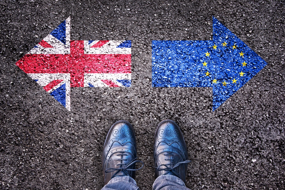 Au cours des manifestations pour le Brexit le 23 mars...