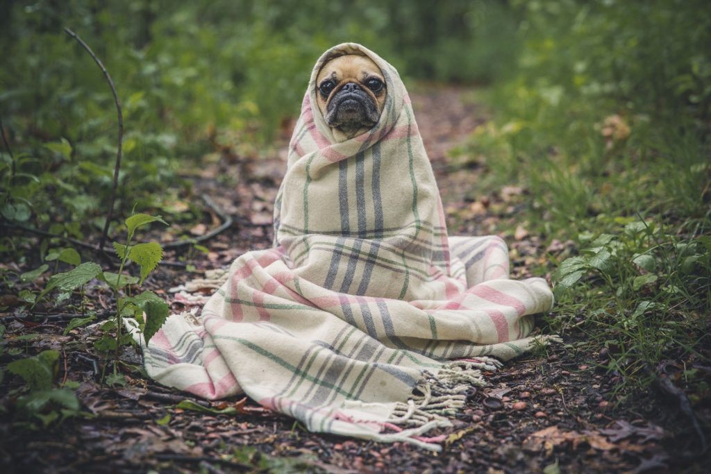 survivre à l'hiver en prépa