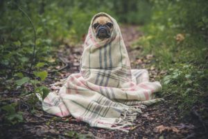 survivre à l'hiver en prépa