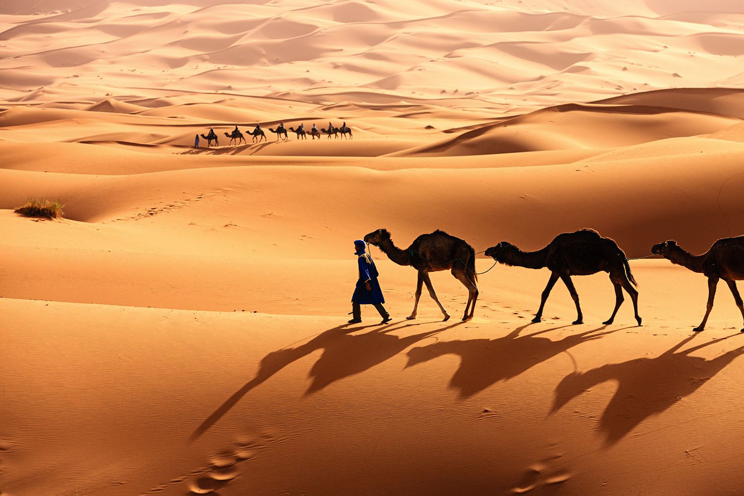 Comment s'appelle la région disputée par le Front Polisario et le Maroc ?
