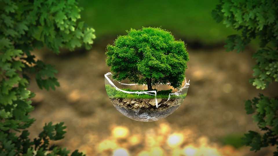 Quel groupe a repoussé sa tournée pour réduire son impact sur l'environnement ?