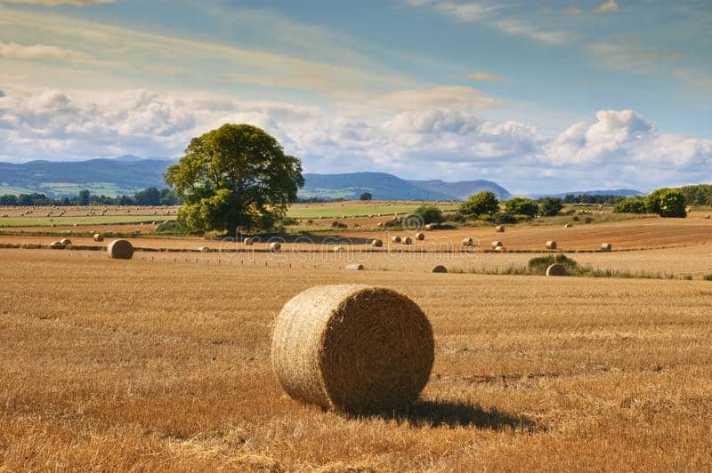 Quelle baisse pour le revenus des agriculteurs français en 2016 ?