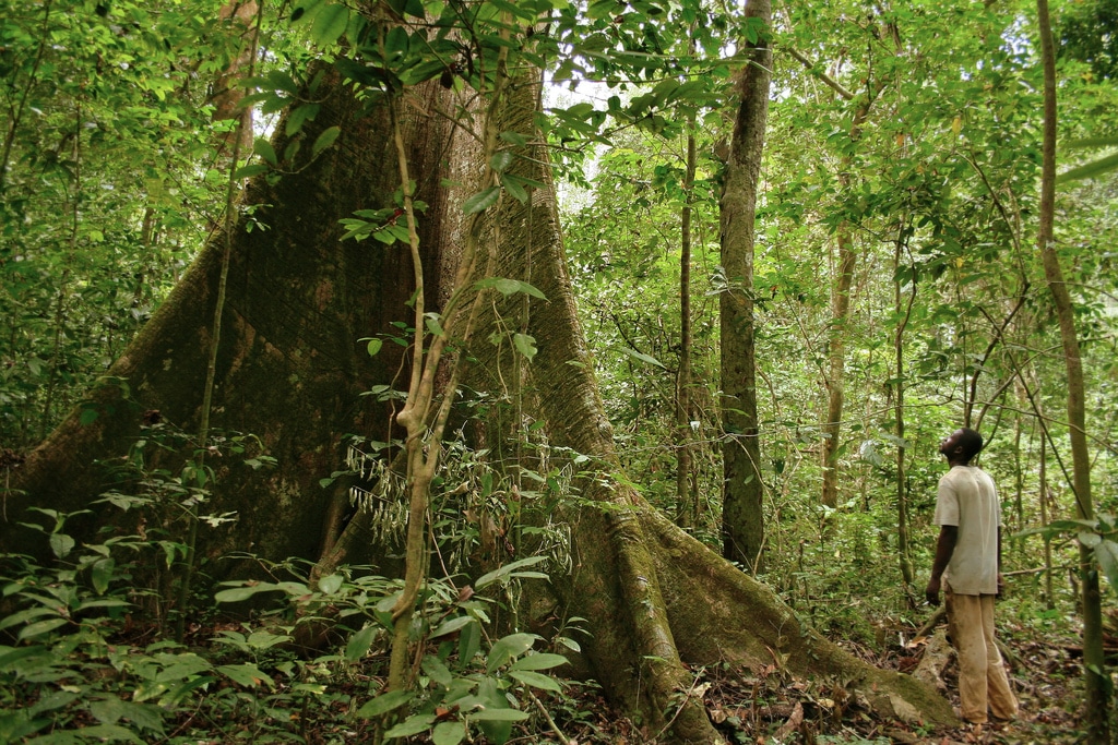 Quel grand groupe français est accusé de pollution sur son sol par le Gabon ?