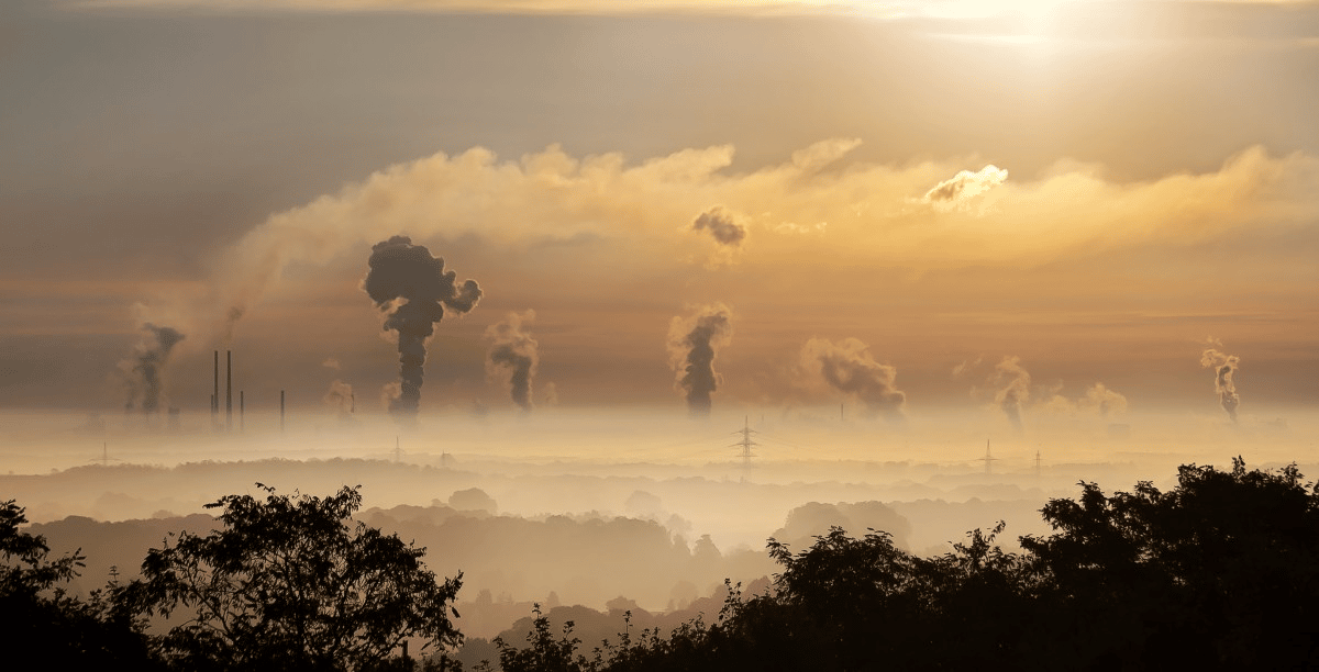 Combien de victimes fait la pollution de l'air annuellement ? 