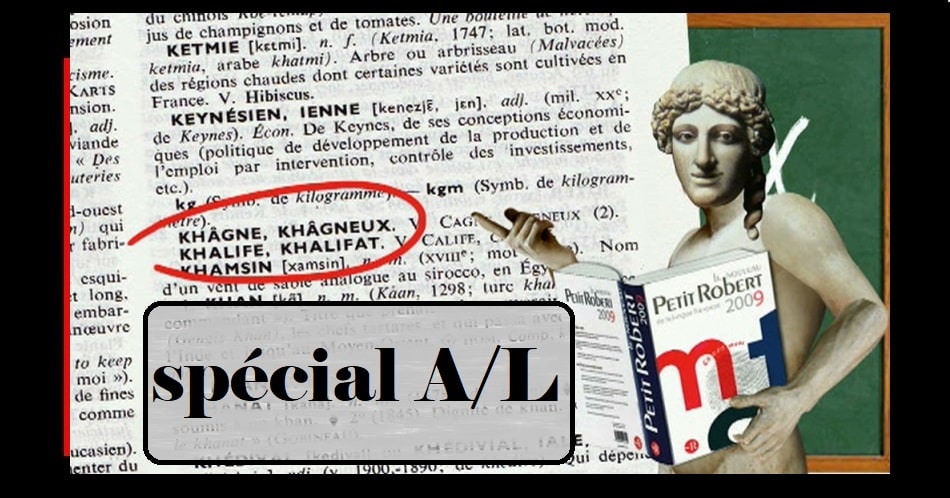 articles A/L