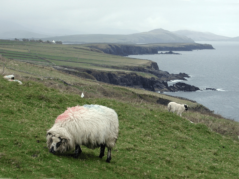 La situation irlandaise a été réglée cette semaine à Belfast par Theresa May.