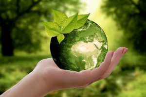 vocabulaire environnement allemand