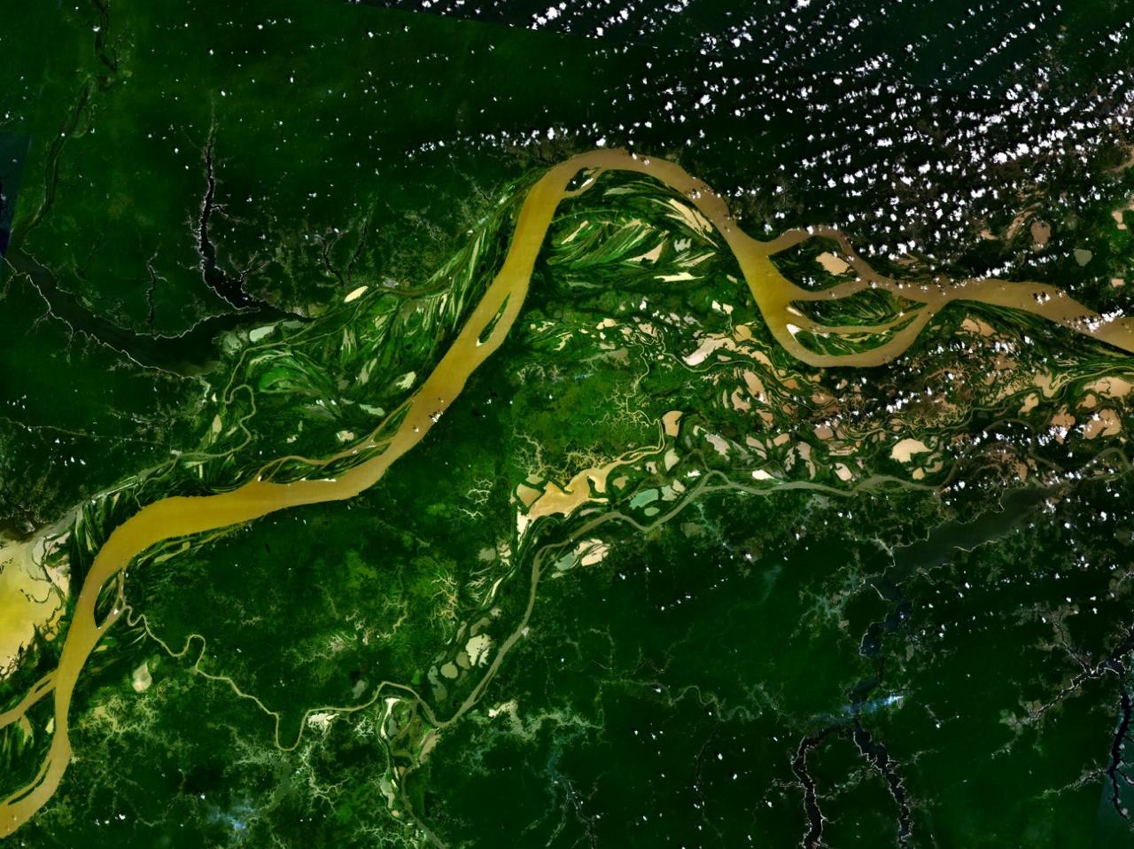 Quel pays souhaite relancer en 2020 son programme de concessions forestières en Amazonie ?