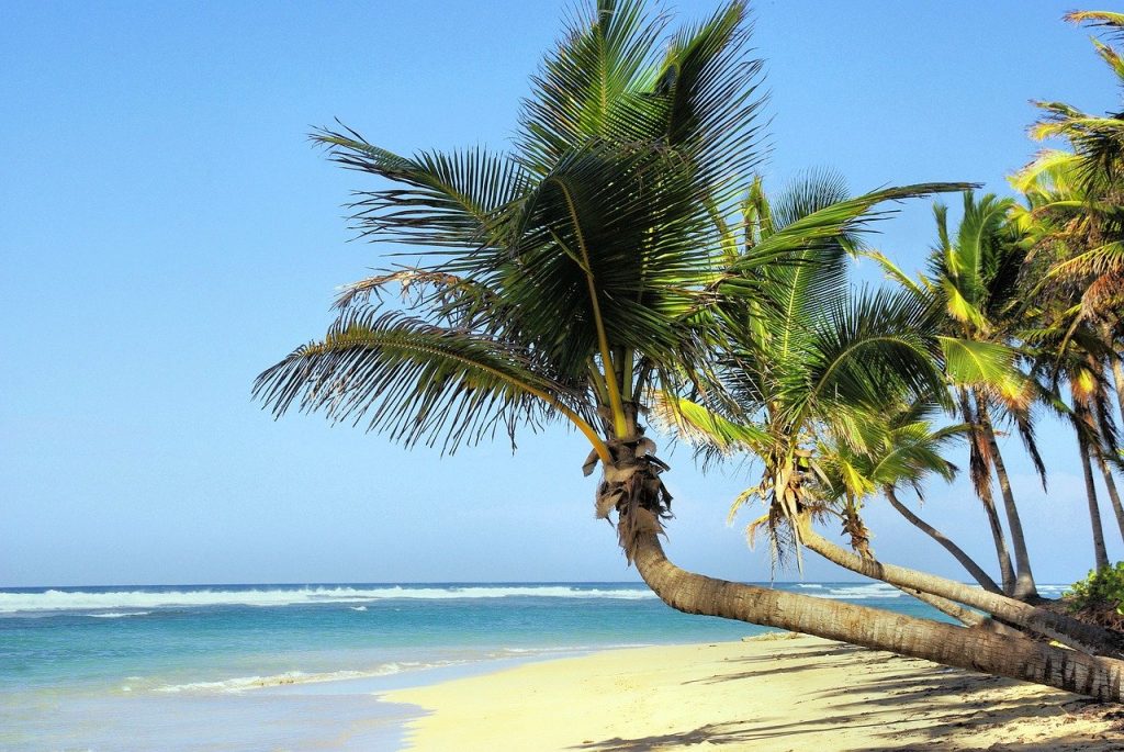 faire sa prépa à la réunion