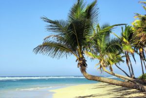 faire sa prépa à la réunion