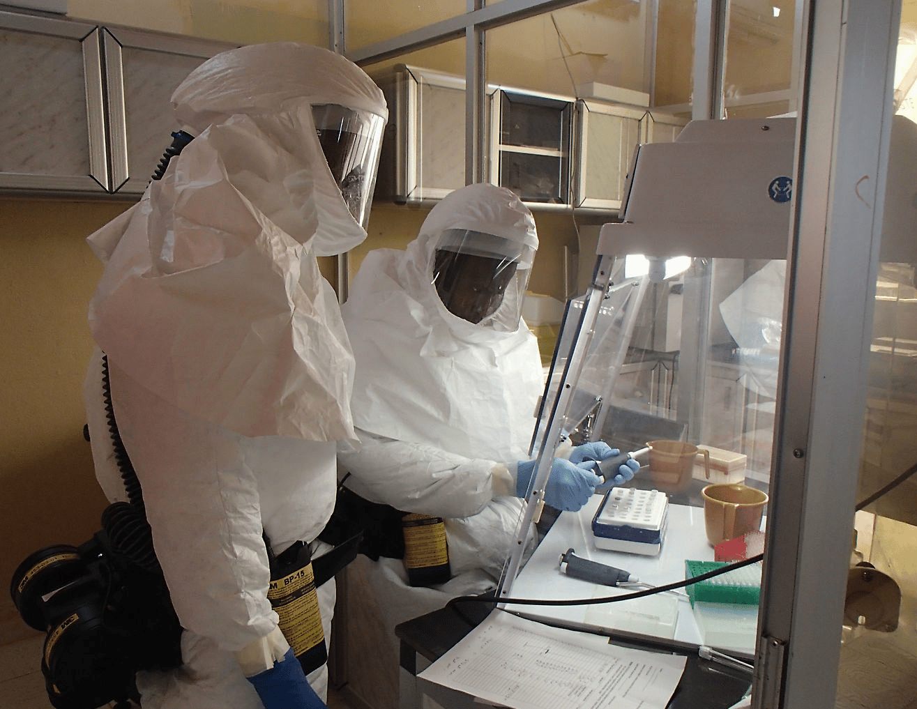 Lundi 13 avril, l'OMS et la RDC ont pu officiellement déclarer la fin de l'épidémie d'Ebola.