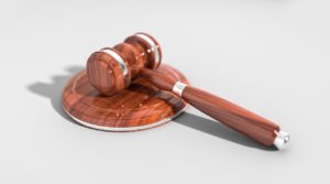 rapport jury eco-droit