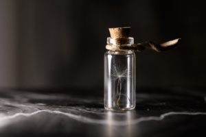 environnement bien mondial