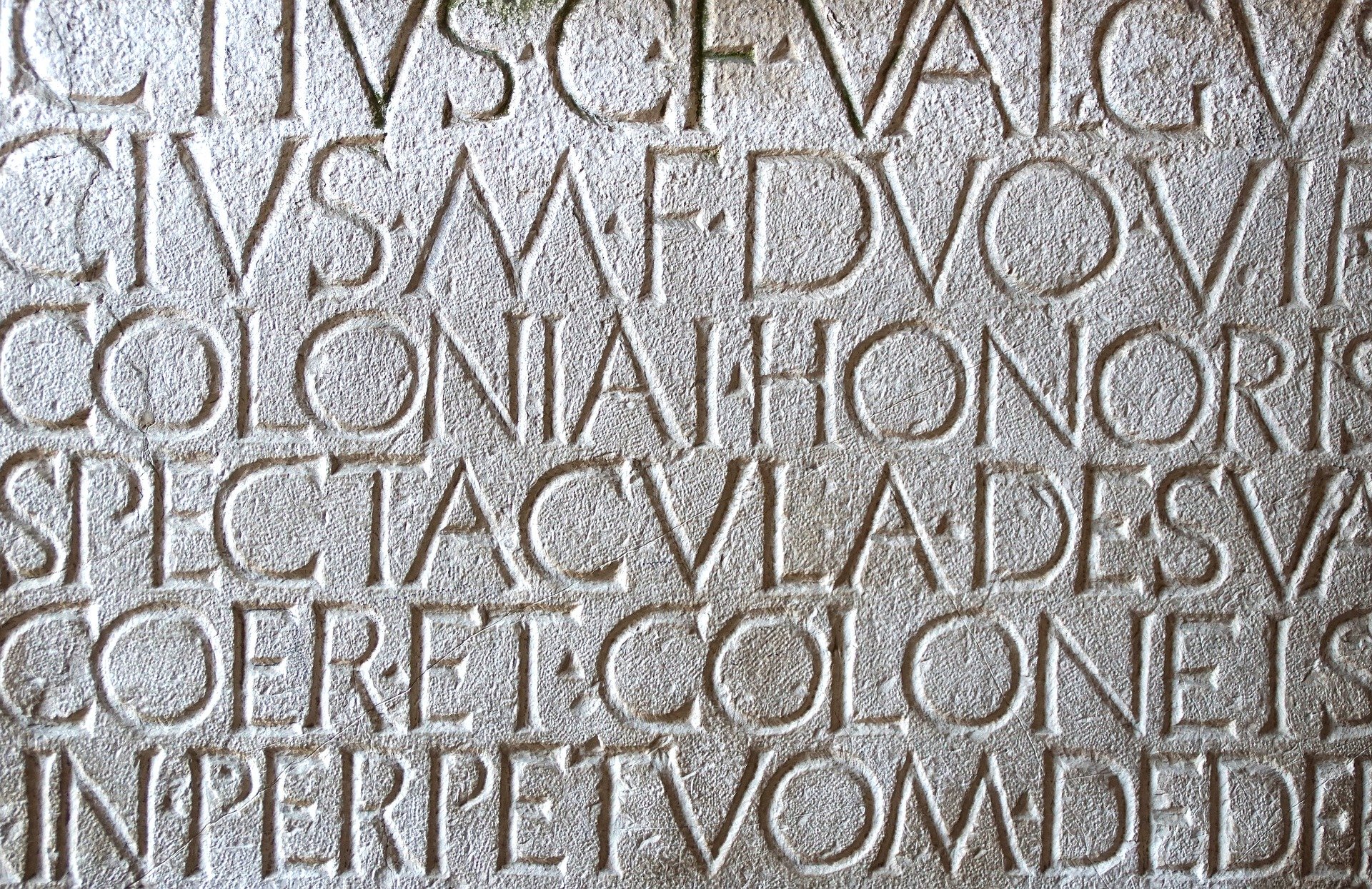 Quid des langues anciennes ?