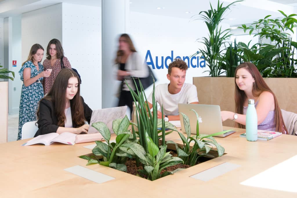 Audencia PGE