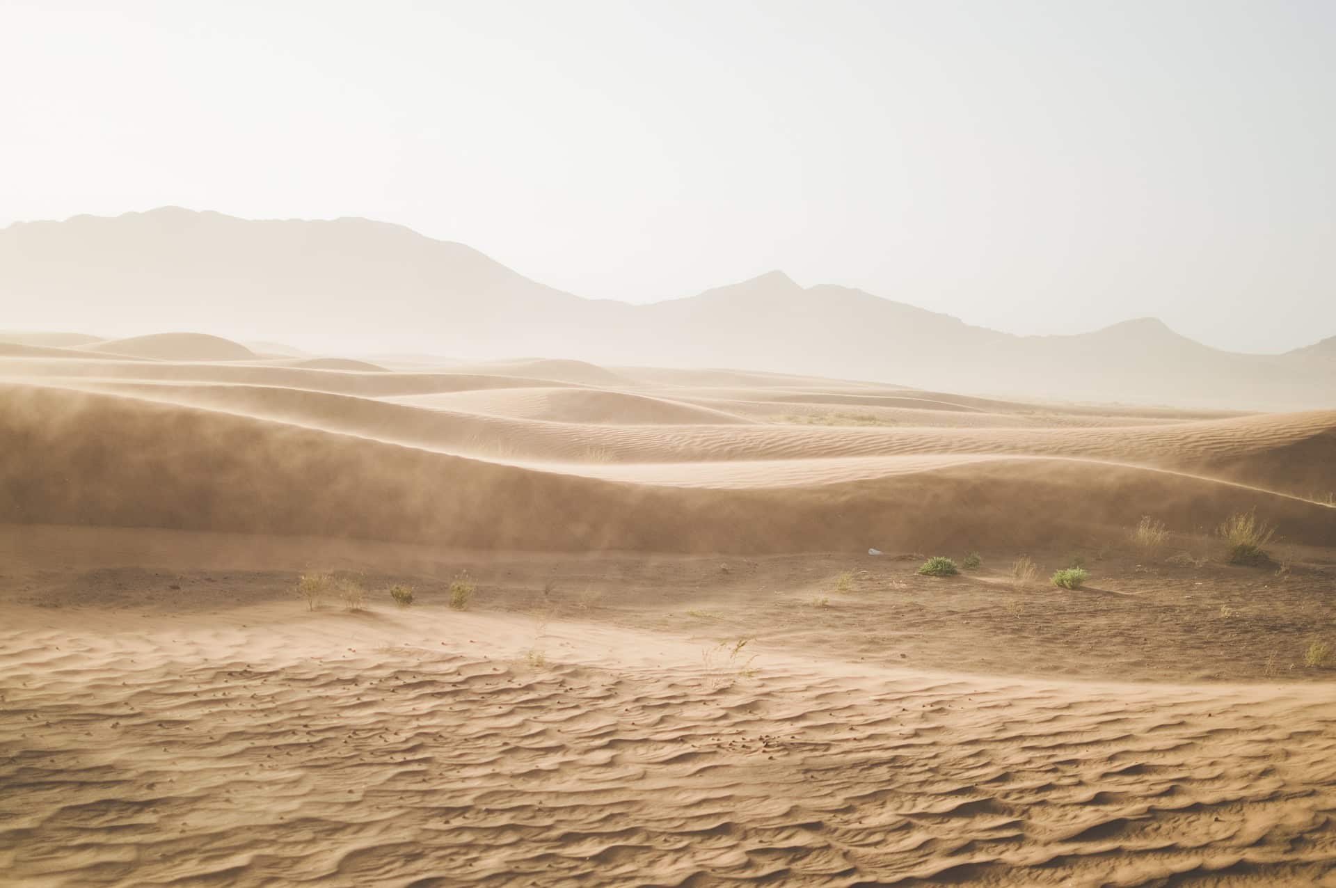 Quelle est la zone géographique qui induit des tensions entre l'Algérie et le Maroc ?
