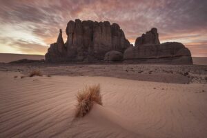 sahara