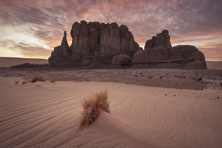 sahara