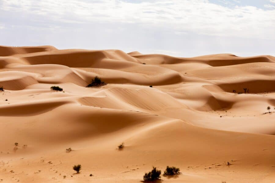 sahara