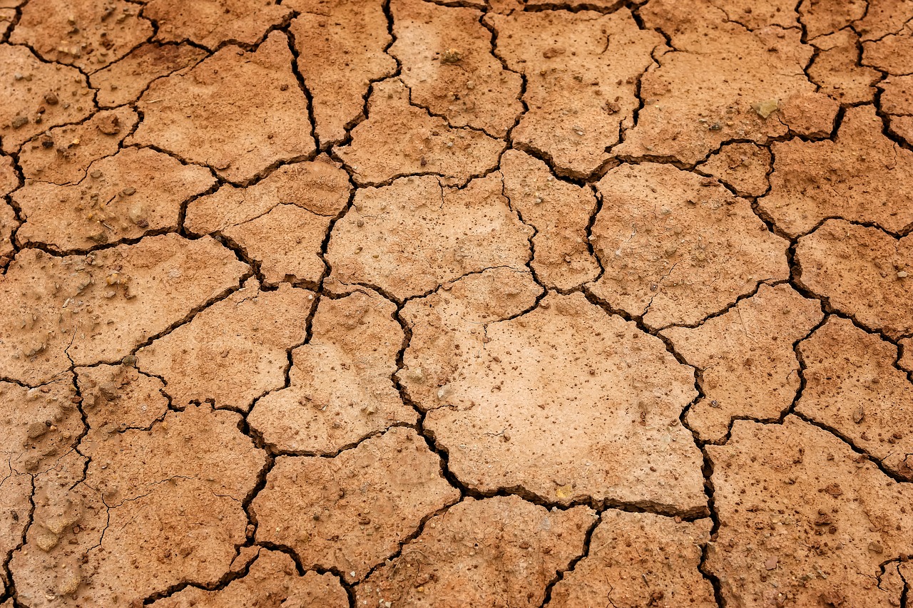 Selon la dernière synthèse de l'ONU sur le climat, nous sommes actuellement sur une trajectoire :