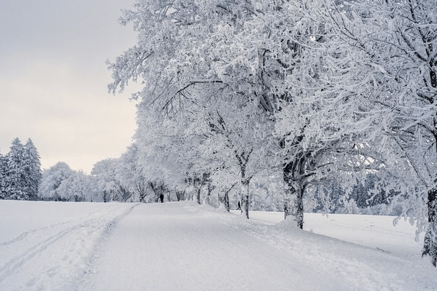 Quel pays est frappé par une vague de froid historique ? 