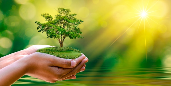 développement durable
