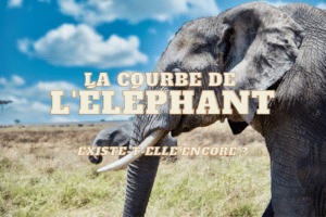 éléphant