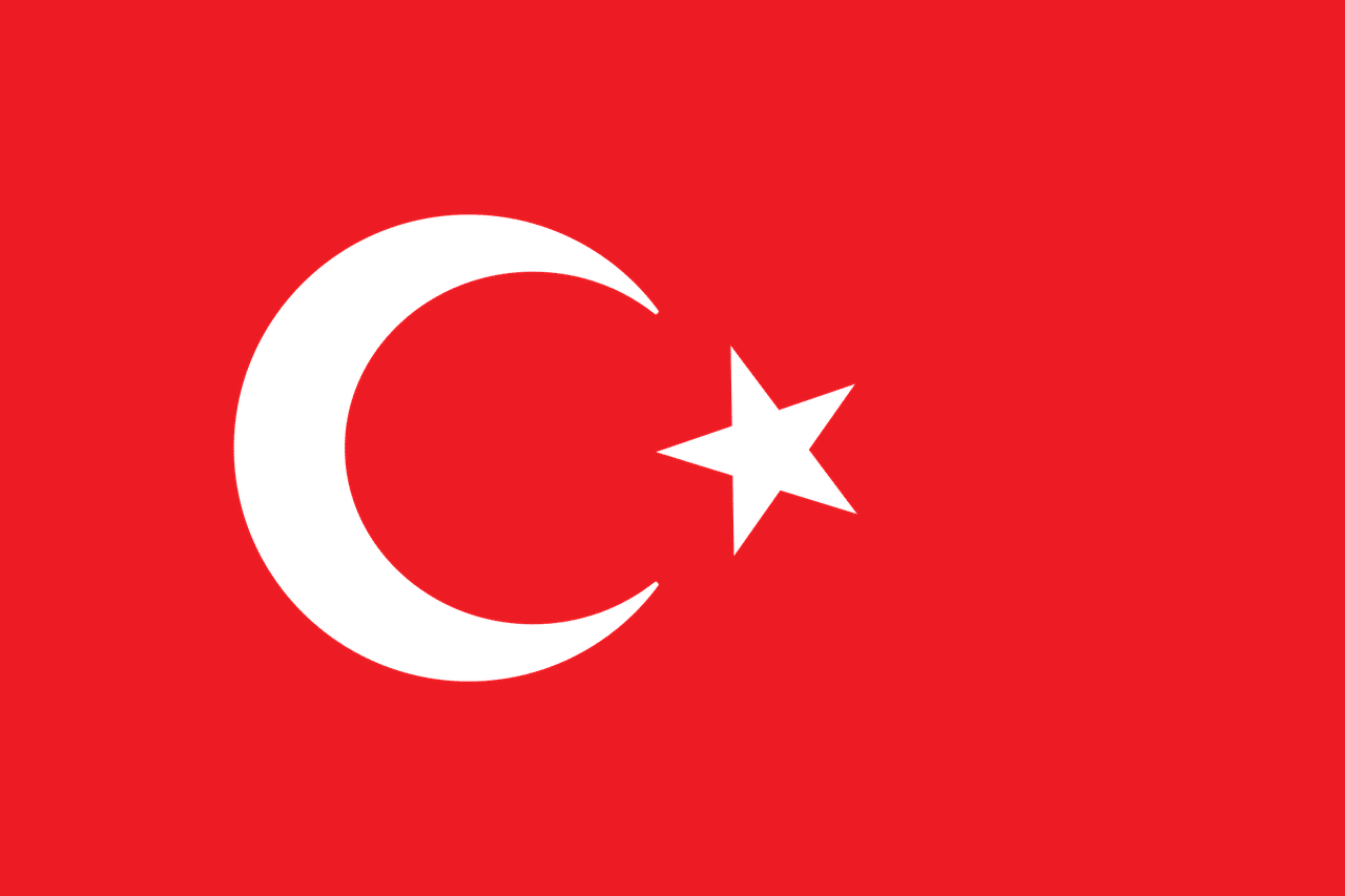 Combien de % des voix le président sortant Erdogan a-t-il eu aux élections présidentielles turques ? 