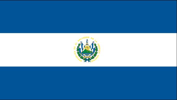 Comment s'appelle le Président du Salvador ?