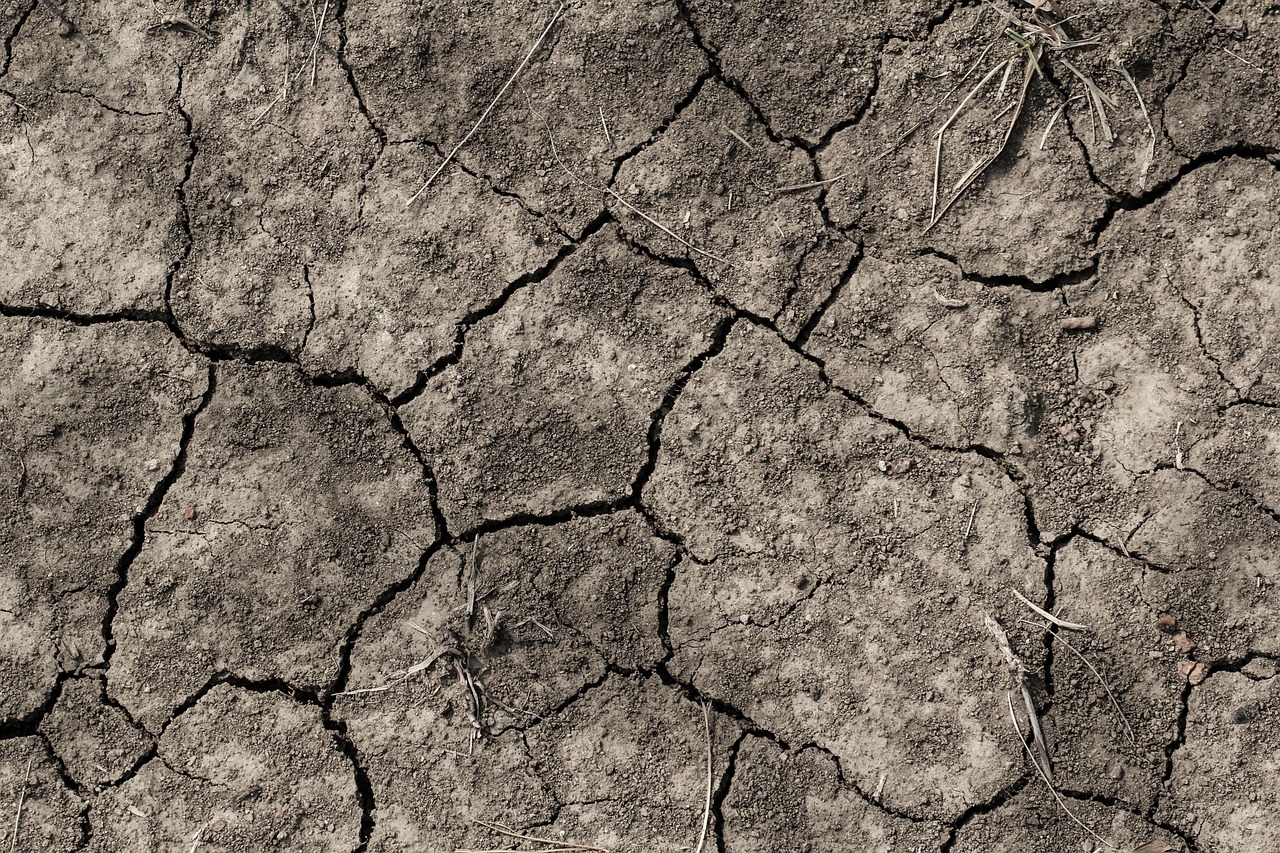 Quelle est la température exacte enregistrée à Valence pendant la canicule, établissant ainsi un nouveau record local ?
