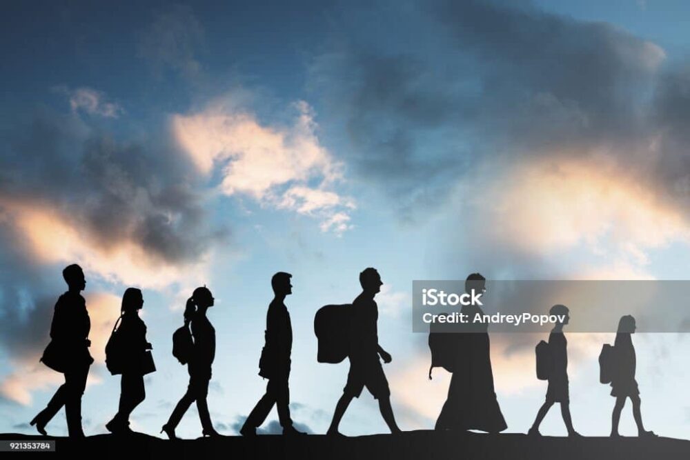 migrations