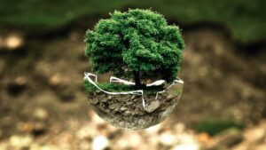 environnement