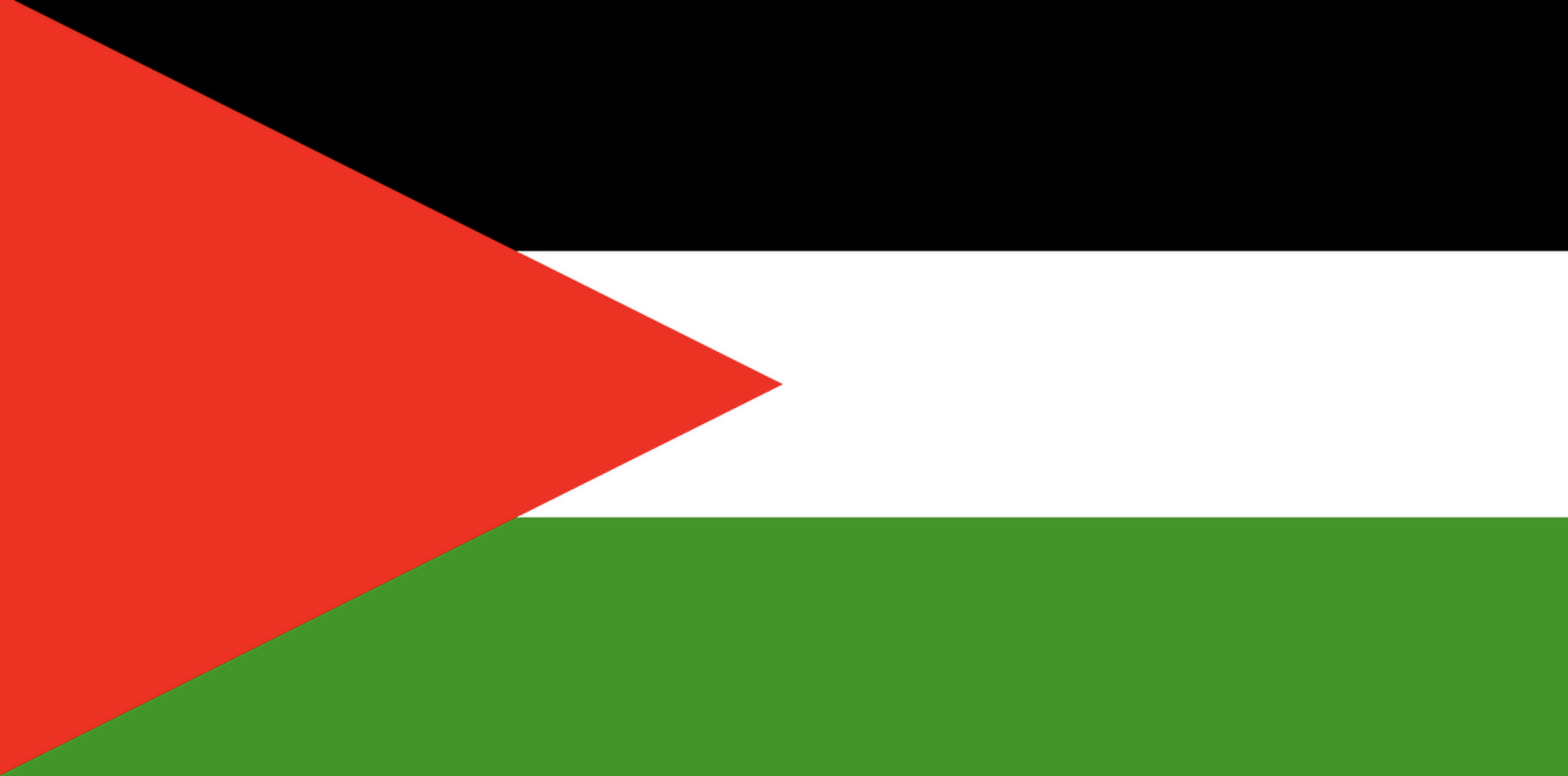 Quel est l'objectif d'Israël dans l'offensive à Gaza ?