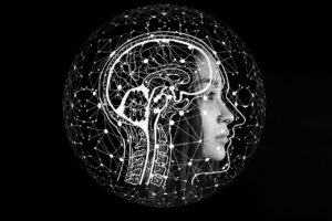 biais cognitifs
