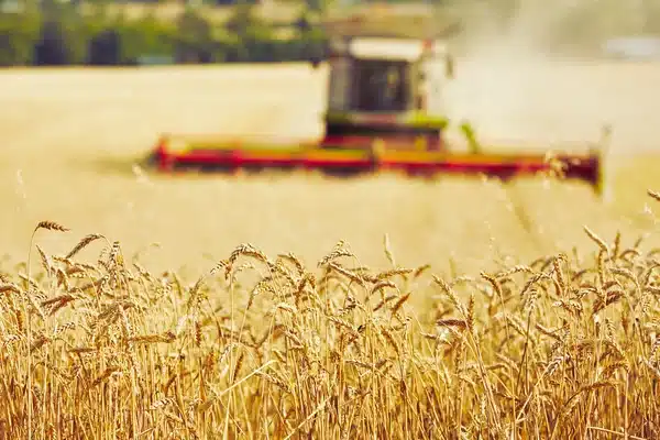 agriculture