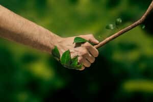climat