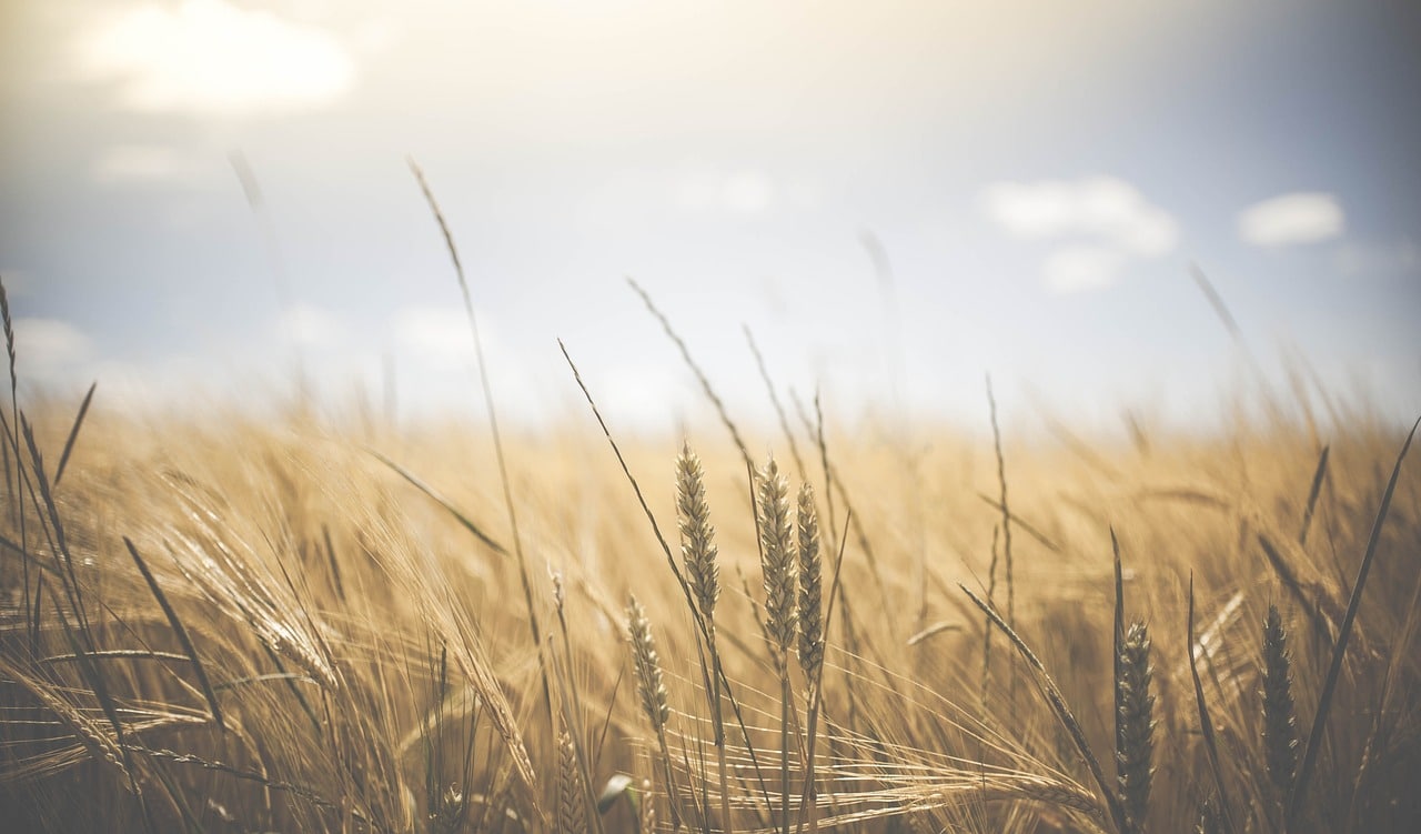 Quel part du budget de l’UE est destinée à l’agriculture ? 