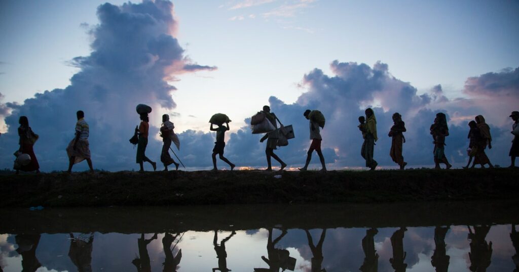 migrations