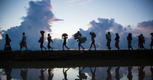 migrations