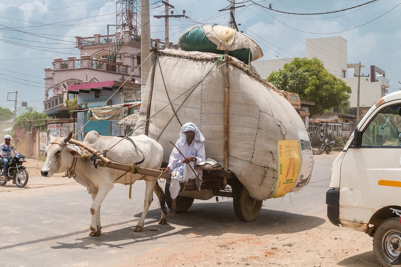 Pourquoi les agriculteurs indiens manifestent-ils à New Delhi ? 