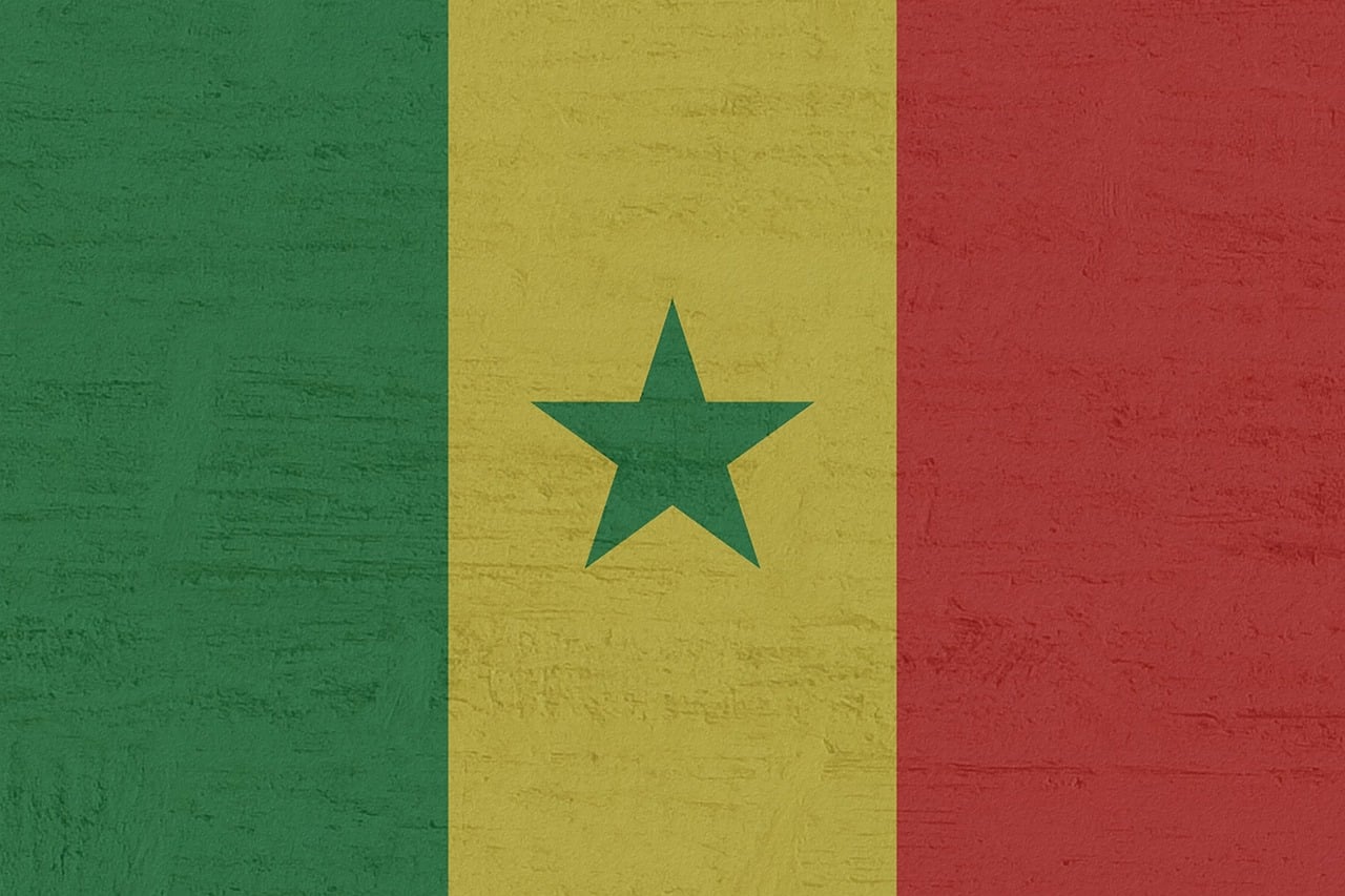 Quand auront lieu les élections présidentielles sénégalaises ? 