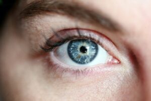 La notion de l'image rétinienne permet à Descartes d'expliquer le phénomène de la vue et de l'inscrire dans une théorie des sens
