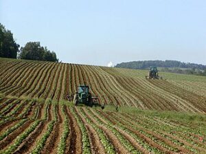 agriculture