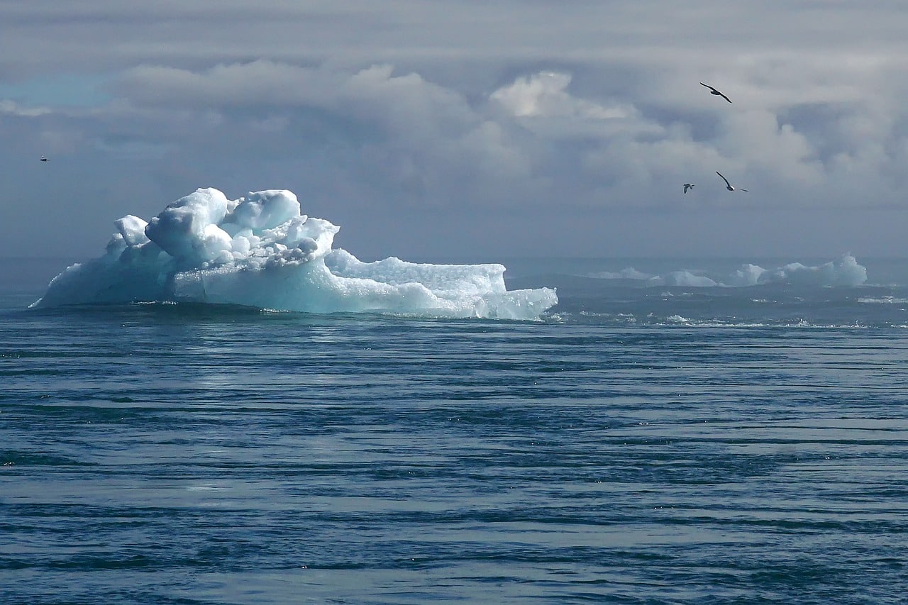Quel est l’un des principaux enjeux de la COP29 ?